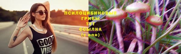 кокаин колумбия Белокуриха