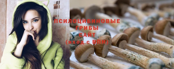 spice Семикаракорск