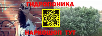 спайс Магадан