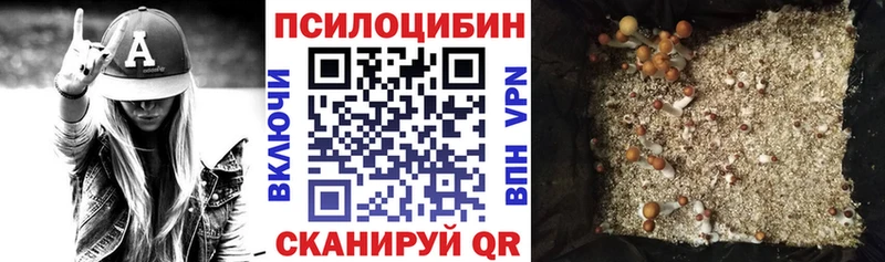 Псилоцибиновые грибы прущие грибы  Видное 