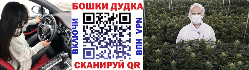 Конопля индика Видное